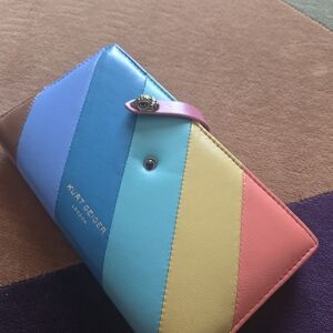 Kurt Geiger Multicolor Striped Wallet
